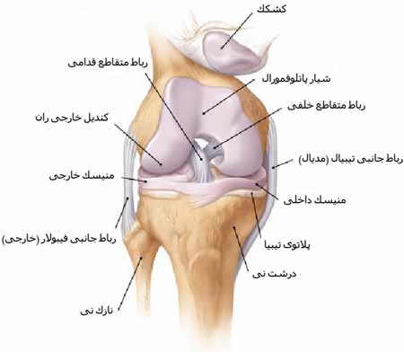 درمان غیر جراحی رباط صلیبی
